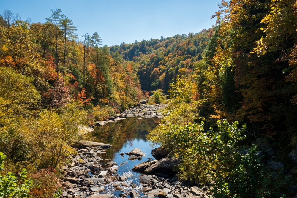 Obed Wild Scenic River in the Cumberland Plateau in Tennessee