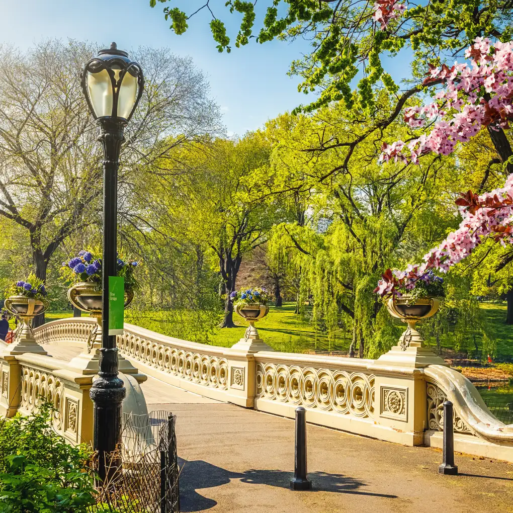 Central Park in the spring