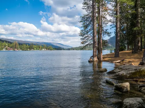 bass-lake-picnic-area.jpg