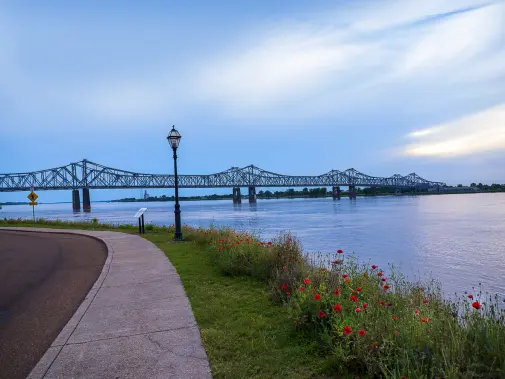 istock-1227410765.jpg
