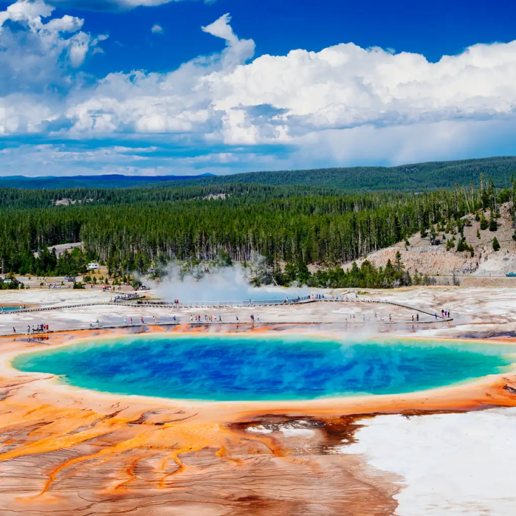 Geysers at Yellowstone National Park