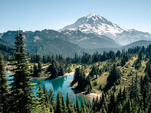 jpeg-optimizer_istock_1130537468.jpeg