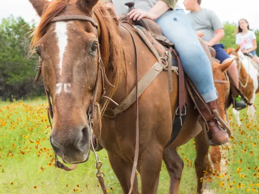 mayan-dude-ranch-11.jpg