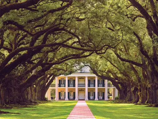mississippi-river-oak-alley.jpg