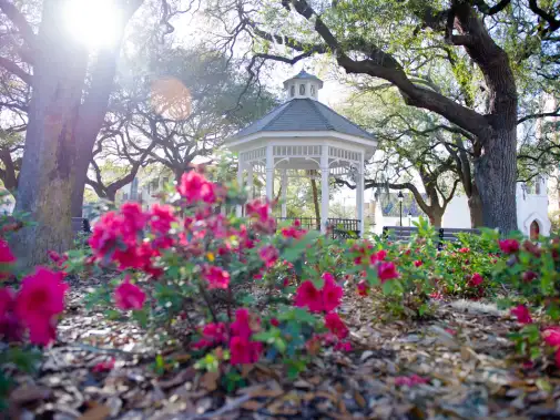 popular-sights--squares--statues--032513_visit-savannah385.jpg
