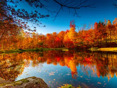 autumn colours reflect in a pond