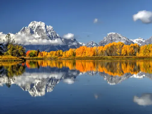 istock-935135870.jpg