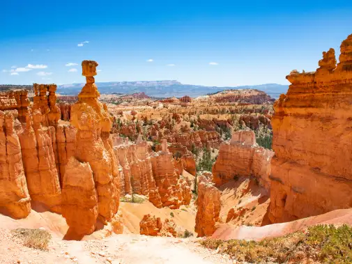 istock-991130630.jpg
