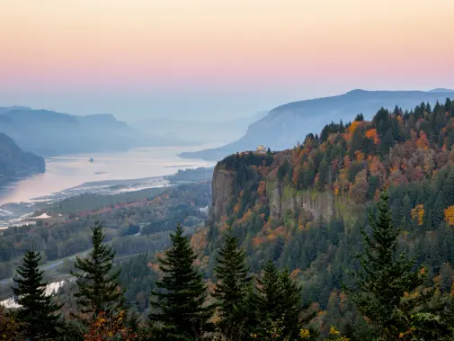 istock-187730621.jpg