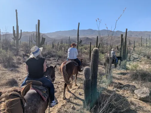 tanque-verde-ranch-2-anne-cowan.jpg
