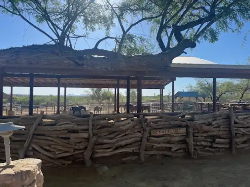 tanque-verde-ranch-3-anne-cowan.jpg