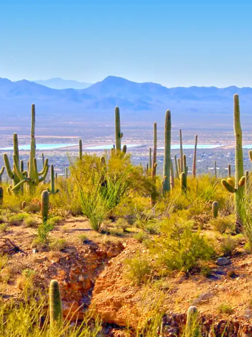 Tucson