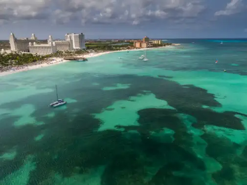 cel_aruba_coastline_1.jpg