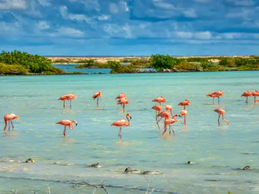 istock-1286281668.jpg
