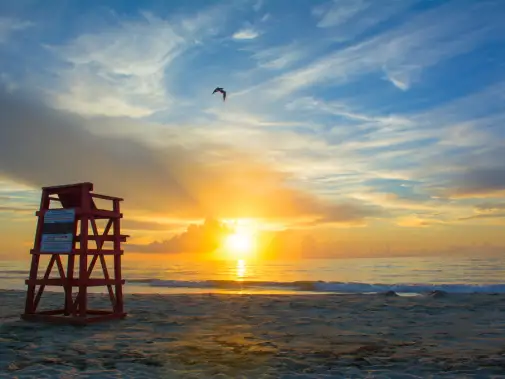 istock-1938759174.jpg