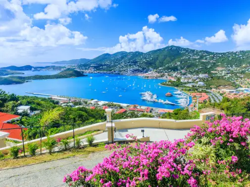st-thomas-as-142065827.png